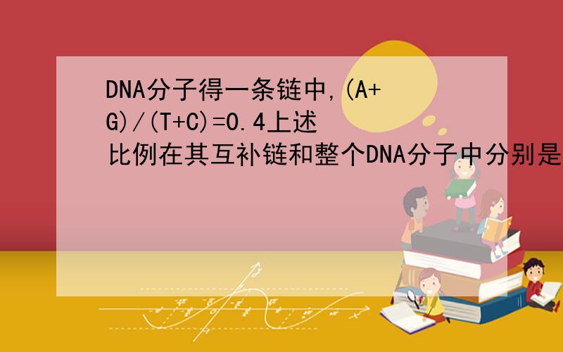 DNA分子得一条链中,(A+G)/(T+C)=0.4上述比例在其互补链和整个DNA分子中分别是