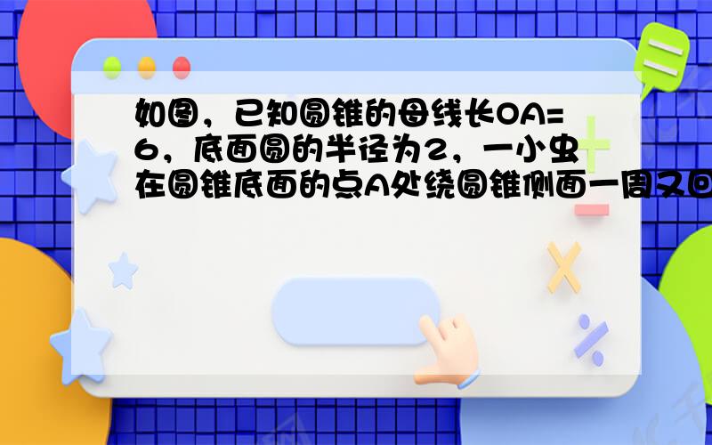 如图，已知圆锥的母线长OA=6，底面圆的半径为2，一小虫在圆锥底面的点A处绕圆锥侧面一周又回到点A处.则小虫所走的最短距