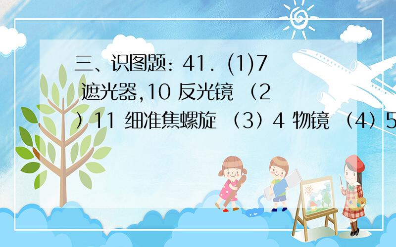 三、识图题: 41．(1)7 遮光器,10 反光镜 （2）11 细准焦螺旋 （3）4 物镜 （4）5 载物台,8 压片夹