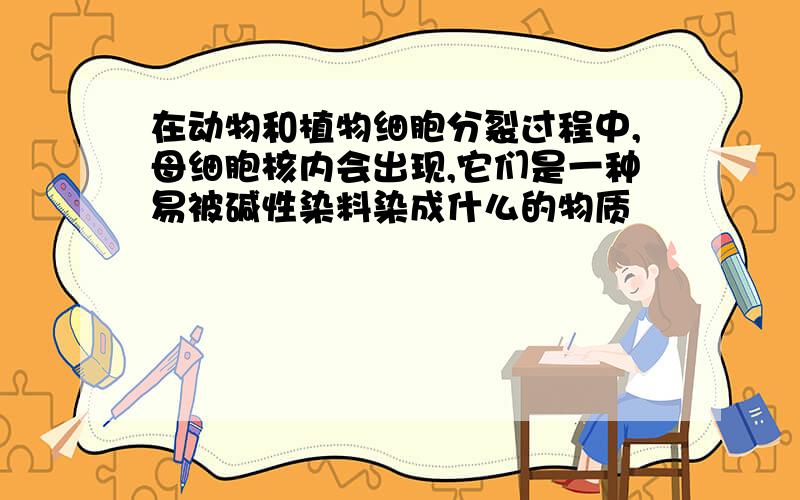 在动物和植物细胞分裂过程中,母细胞核内会出现,它们是一种易被碱性染料染成什么的物质