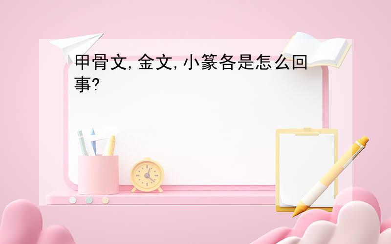 甲骨文,金文,小篆各是怎么回事?