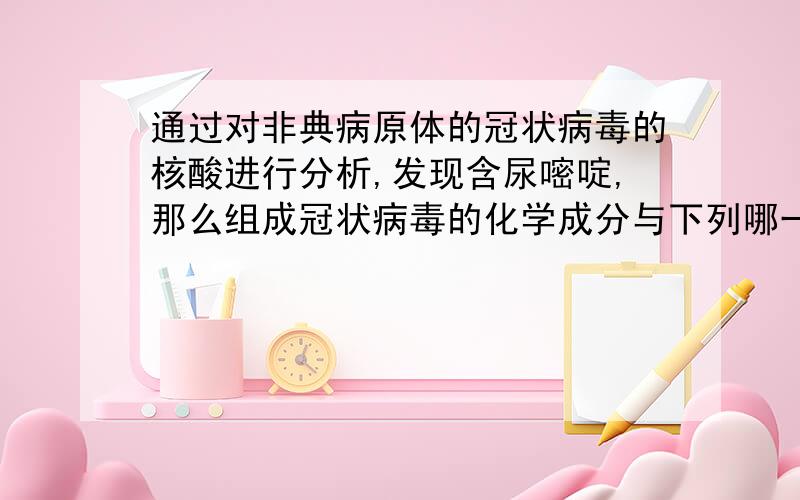 通过对非典病原体的冠状病毒的核酸进行分析,发现含尿嘧啶,那么组成冠状病毒的化学成分与下列哪一结构的成分相类似