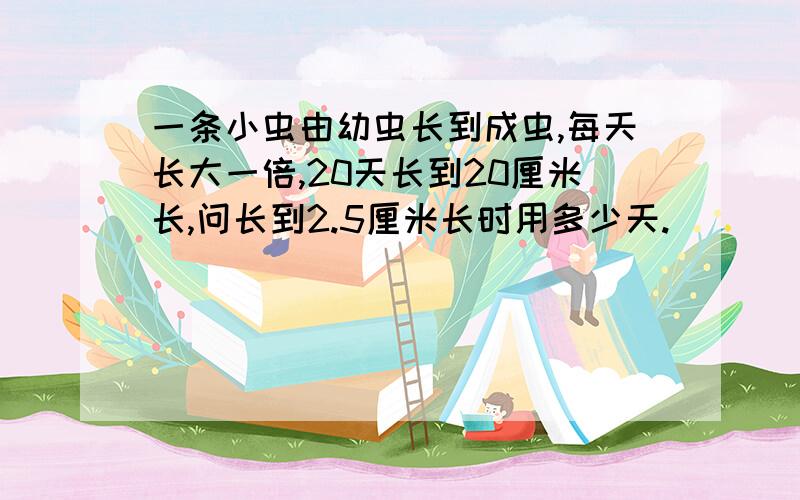 一条小虫由幼虫长到成虫,每天长大一倍,20天长到20厘米长,问长到2.5厘米长时用多少天.