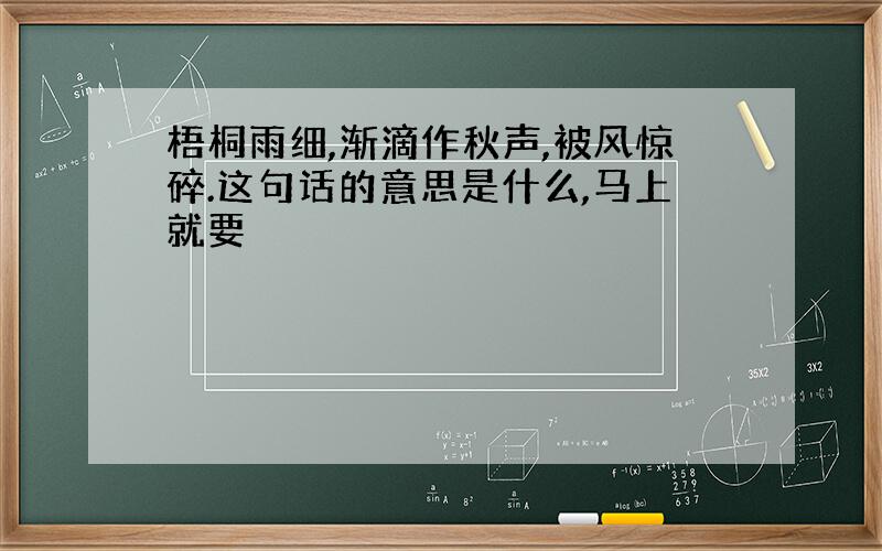 梧桐雨细,渐滴作秋声,被风惊碎.这句话的意思是什么,马上就要