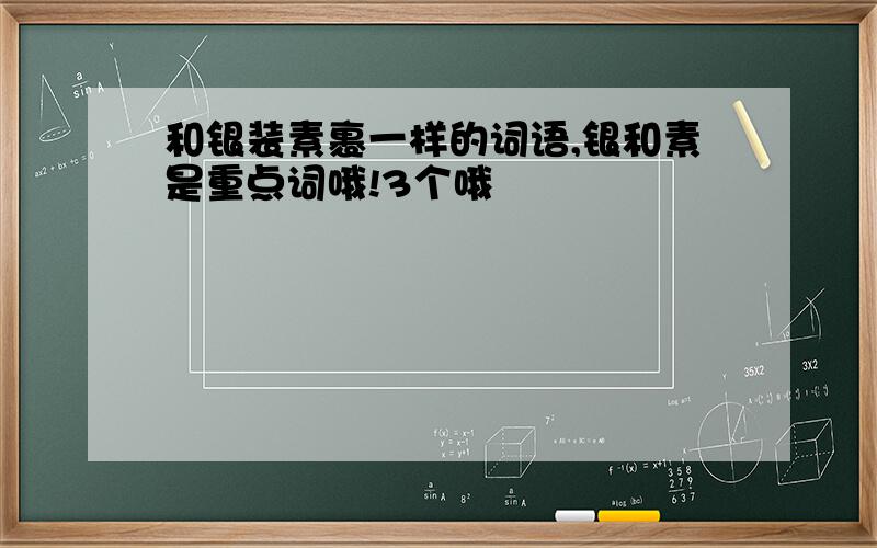 和银装素裹一样的词语,银和素是重点词哦!3个哦