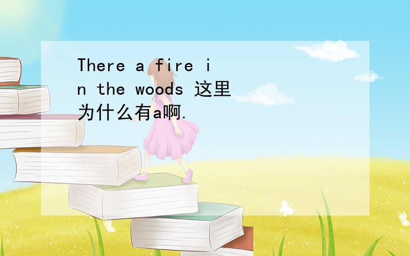 There a fire in the woods 这里为什么有a啊.