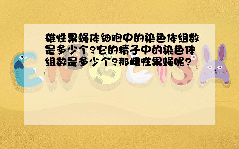 雄性果蝇体细胞中的染色体组数是多少个?它的精子中的染色体组数是多少个?那雌性果蝇呢?