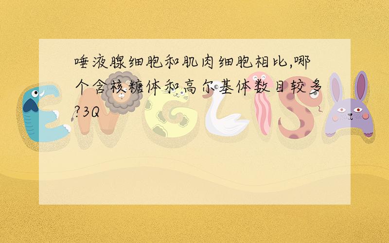 唾液腺细胞和肌肉细胞相比,哪个含核糖体和高尔基体数目较多?3Q