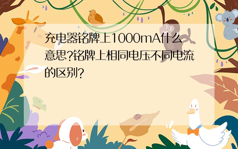 充电器铭牌上1000mA什么意思?铭牌上相同电压不同电流的区别?