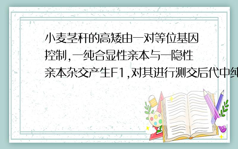 小麦茎秆的高矮由一对等位基因控制,一纯合显性亲本与一隐性亲本杂交产生F1,对其进行测交后代中纯合子占的比例是