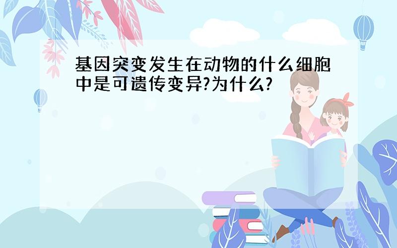 基因突变发生在动物的什么细胞中是可遗传变异?为什么?