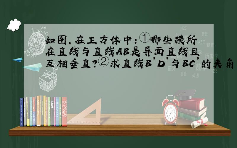 如图,在正方体中：①哪些棱所在直线与直线AB是异面直线且互相垂直?②求直线B'D'与BC'的夹角