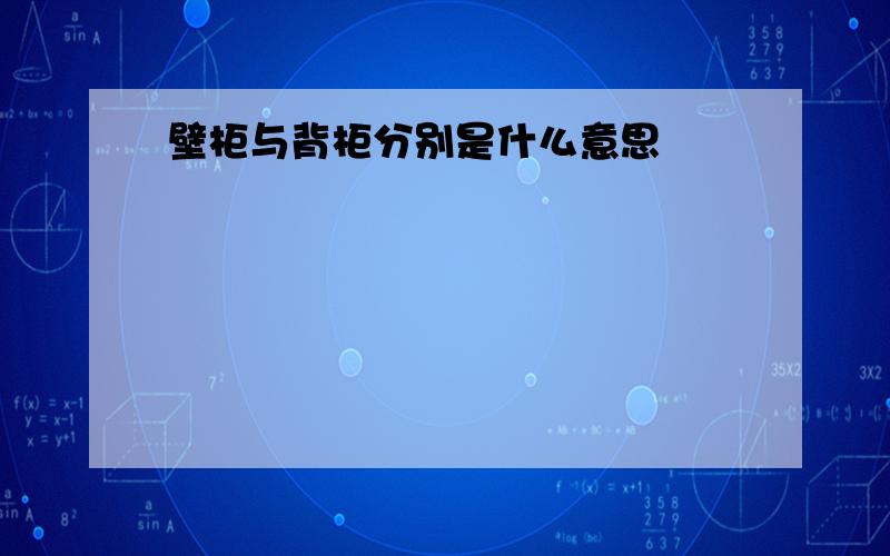 壁柜与背柜分别是什么意思