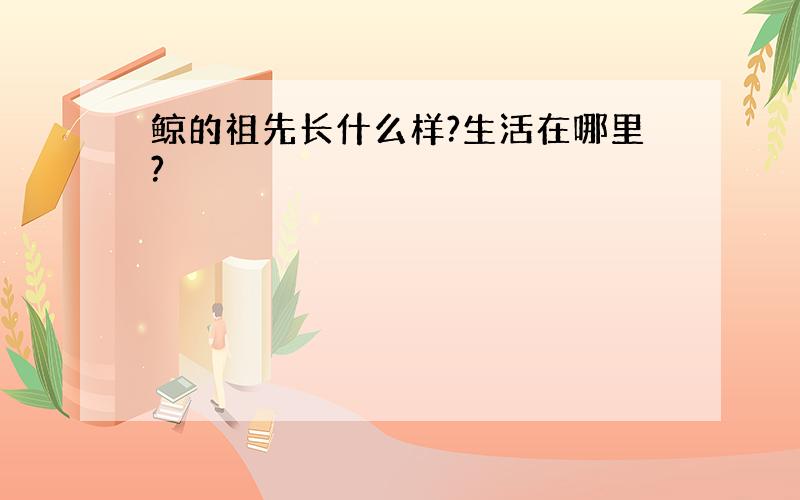 鲸的祖先长什么样?生活在哪里?