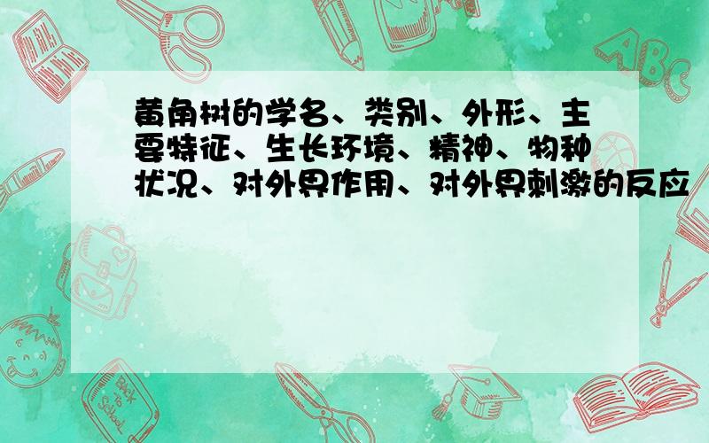 黄角树的学名、类别、外形、主要特征、生长环境、精神、物种状况、对外界作用、对外界刺激的反应