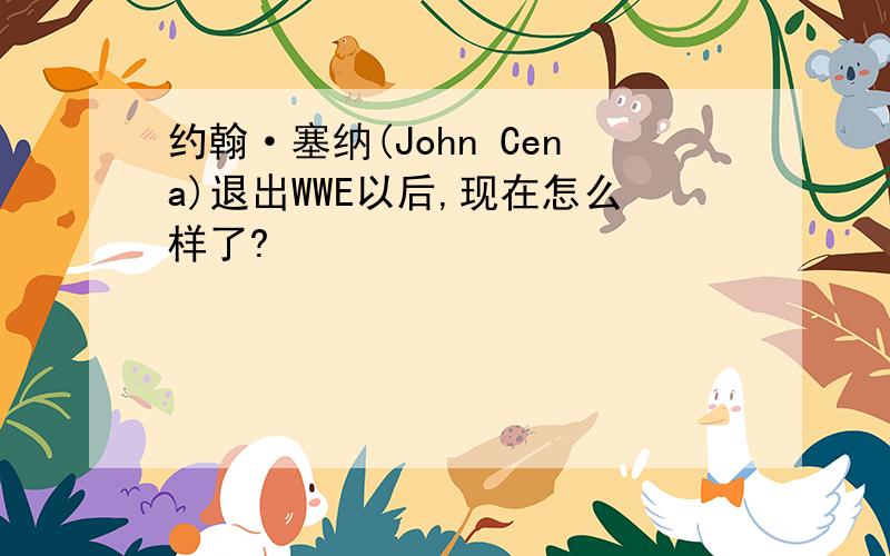 约翰·塞纳(John Cena)退出WWE以后,现在怎么样了?