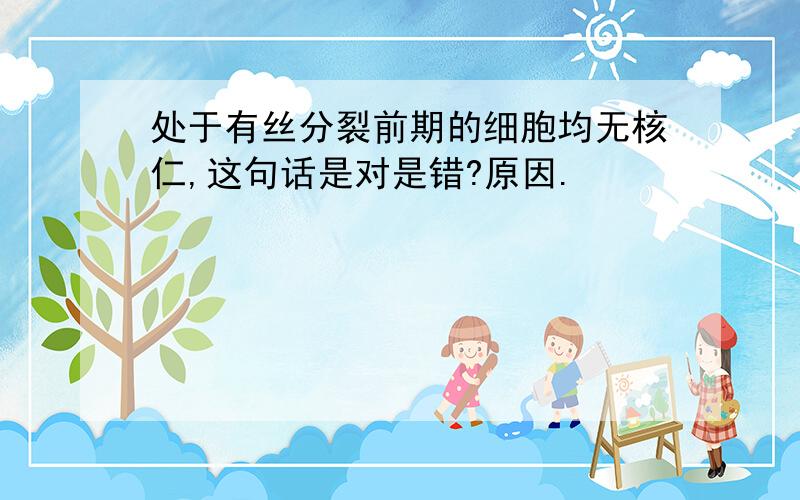 处于有丝分裂前期的细胞均无核仁,这句话是对是错?原因.