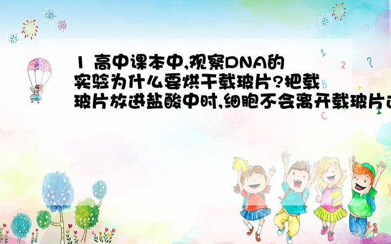 1 高中课本中,观察DNA的实验为什么要烘干载玻片?把载玻片放进盐酸中时,细胞不会离开载玻片进入水中吗?为什么载玻片上还