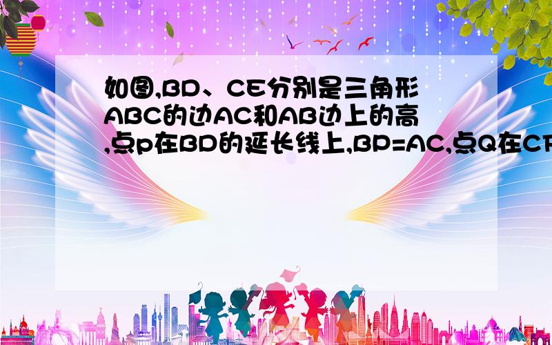 如图,BD、CE分别是三角形ABC的边AC和AB边上的高,点p在BD的延长线上,BP=AC,点Q在CF上,CQ=AB