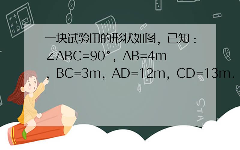 一块试验田的形状如图，已知：∠ABC=90°，AB=4m，BC=3m，AD=12m，CD=13m．求这块试验田的面积．