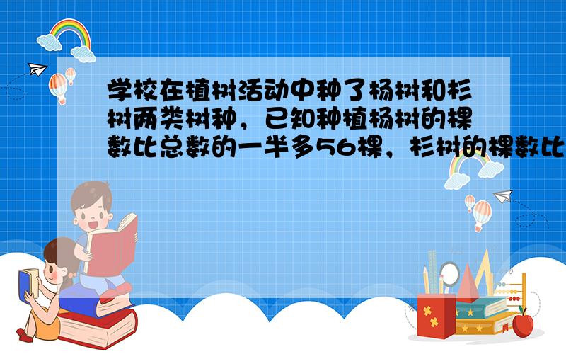 学校在植树活动中种了杨树和杉树两类树种，已知种植杨树的棵数比总数的一半多56棵，杉树的棵数比总数的13