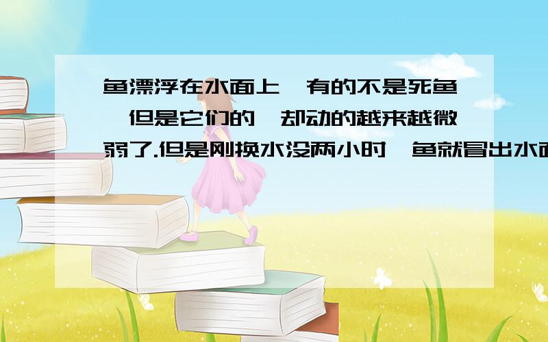 鱼漂浮在水面上,有的不是死鱼,但是它们的鳃却动的越来越微弱了.但是刚换水没两小时,鱼就冒出水面吸