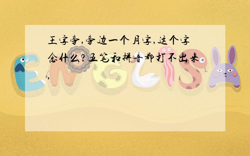 王字旁,旁边一个月字,这个字念什么?五笔和拼音都打不出来,