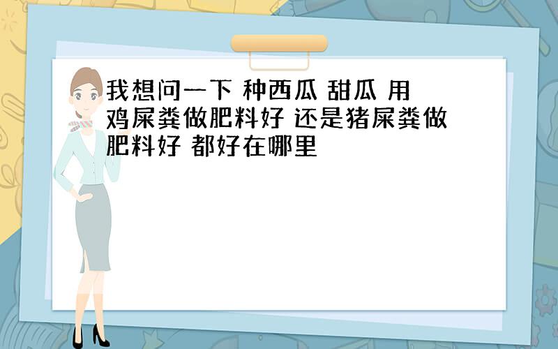 我想问一下 种西瓜 甜瓜 用鸡屎粪做肥料好 还是猪屎粪做肥料好 都好在哪里