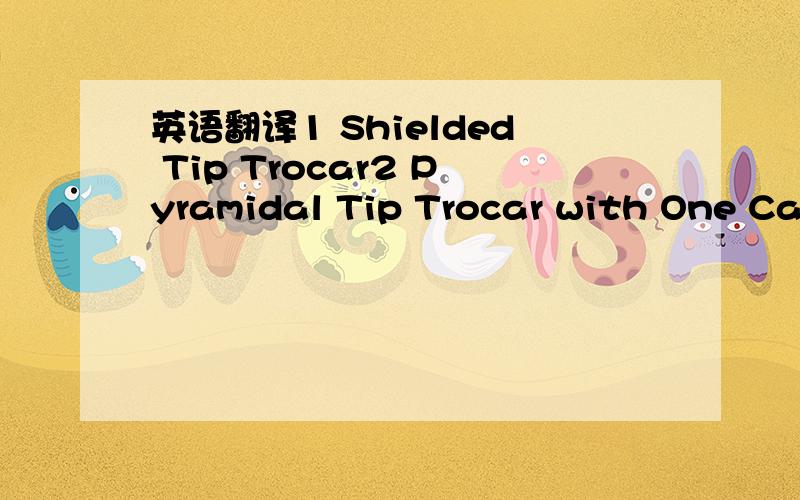 英语翻译1 Shielded Tip Trocar2 Pyramidal Tip Trocar with One Can