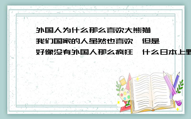 外国人为什么那么喜欢大熊猫 我们国家的人虽然也喜欢,但是好像没有外国人那么疯狂,什么日本上野动物园很多日本人排几个小时队