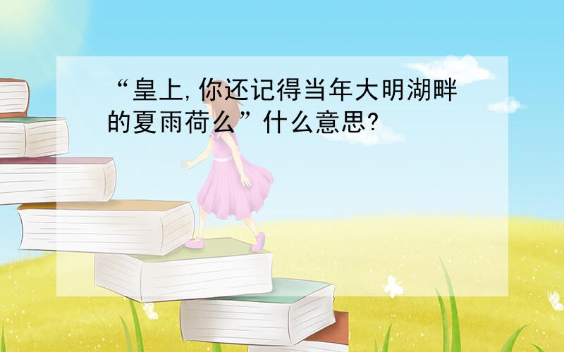 “皇上,你还记得当年大明湖畔的夏雨荷么”什么意思?