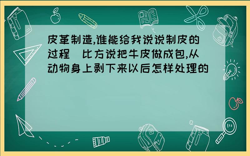 皮革制造,谁能给我说说制皮的过程（比方说把牛皮做成包,从动物身上剥下来以后怎样处理的）