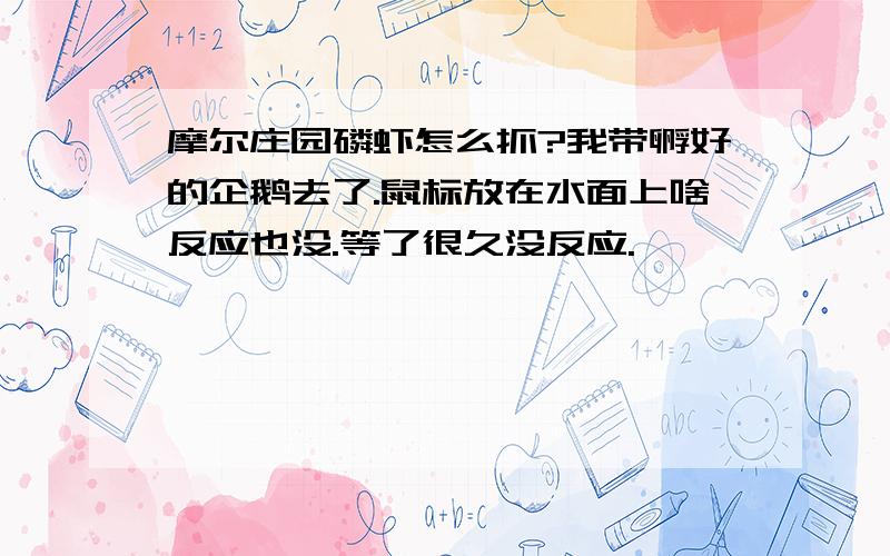 摩尔庄园磷虾怎么抓?我带孵好的企鹅去了.鼠标放在水面上啥反应也没.等了很久没反应.