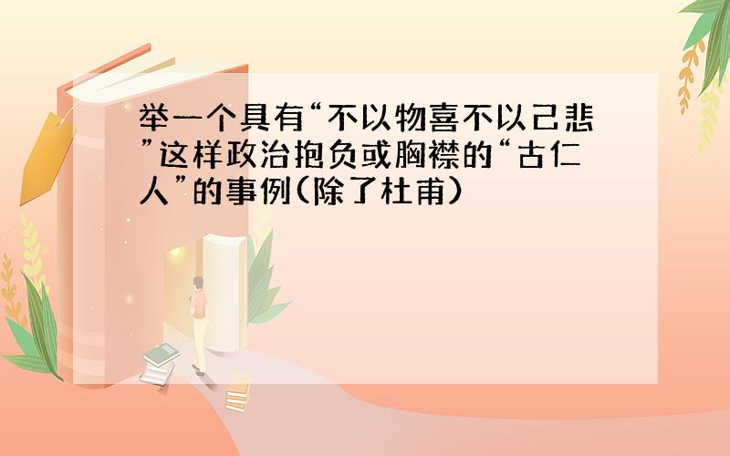 举一个具有“不以物喜不以己悲”这样政治抱负或胸襟的“古仁人”的事例(除了杜甫）