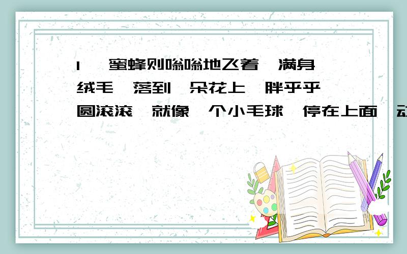 1、 蜜蜂则嗡嗡地飞着,满身绒毛,落到一朵花上,胖乎乎,圆滚滚,就像一个小毛球,停在上面一动不 动.