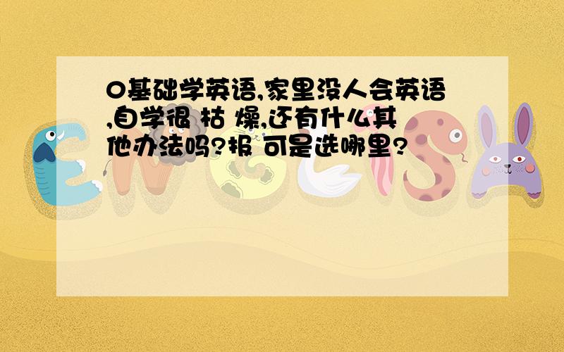 0基础学英语,家里没人会英语,自学很 枯 燥,还有什么其他办法吗?报 可是选哪里?