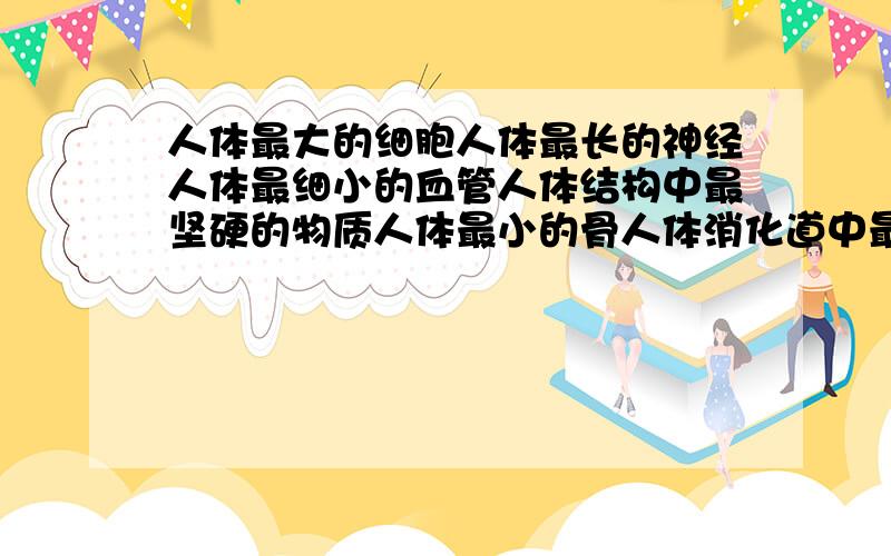 人体最大的细胞人体最长的神经人体最细小的血管人体结构中最坚硬的物质人体最小的骨人体消化道中最长的一段人体最高级的神经中构