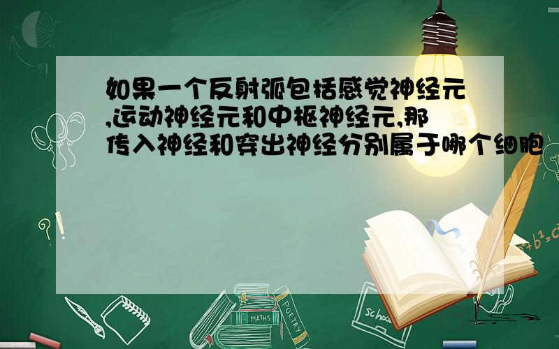 如果一个反射弧包括感觉神经元,运动神经元和中枢神经元,那传入神经和穿出神经分别属于哪个细胞