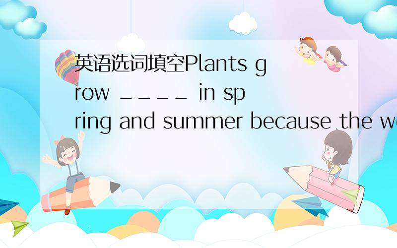 英语选词填空Plants grow ____ in spring and summer because the weat