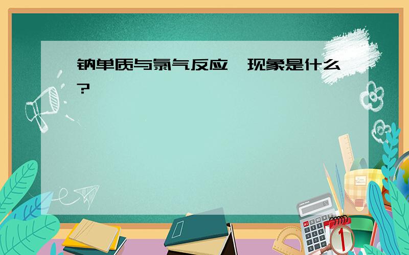 钠单质与氯气反应,现象是什么?