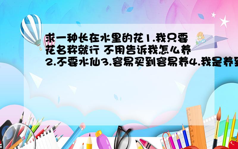 求一种长在水里的花1.我只要花名称就行 不用告诉我怎么养2.不要水仙3.容易买到容易养4.我是养到矿泉水瓶子里