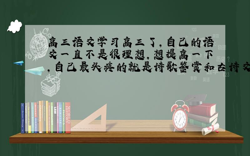 高三语文学习高三了,自己的语文一直不是很理想,想提高一下,自己最头疼的就是诗歌鉴赏和古诗文阅读,有的文言文实词尽管积累了