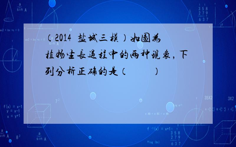 （2014•盐城三模）如图为植物生长过程中的两种现象，下列分析正确的是（　　）