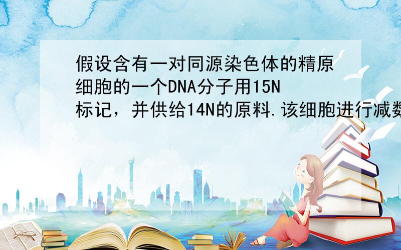 假设含有一对同源染色体的精原细胞的一个DNA分子用15N标记，并供给14N的原料.该细胞进行减数分裂产生的4个精子中，含