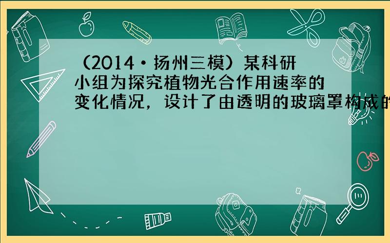 （2014•扬州三模）某科研小组为探究植物光合作用速率的变化情况，设计了由透明的玻璃罩构成的小室（如图A所示）．