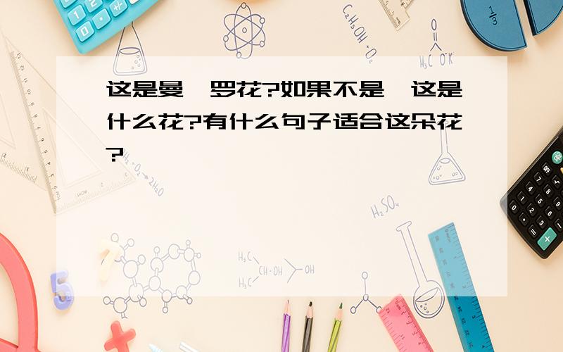 这是曼陀罗花?如果不是,这是什么花?有什么句子适合这朵花?