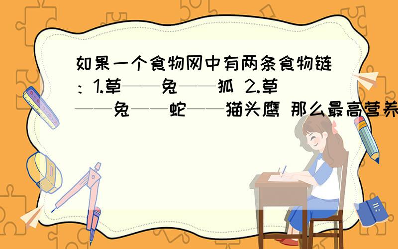 如果一个食物网中有两条食物链：1.草——兔——狐 2.草——兔——蛇——猫头鹰 那么最高营养级是