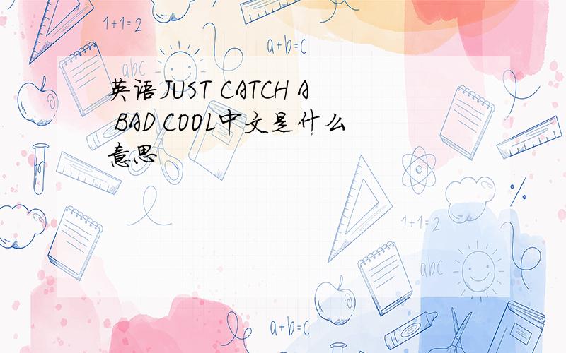 英语JUST CATCH A BAD COOL中文是什么意思