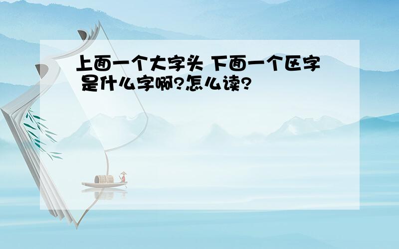 上面一个大字头 下面一个区字 是什么字啊?怎么读?