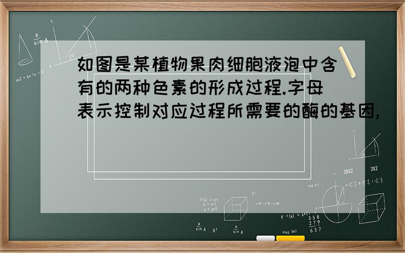 如图是某植物果肉细胞液泡中含有的两种色素的形成过程.字母表示控制对应过程所需要的酶的基因,